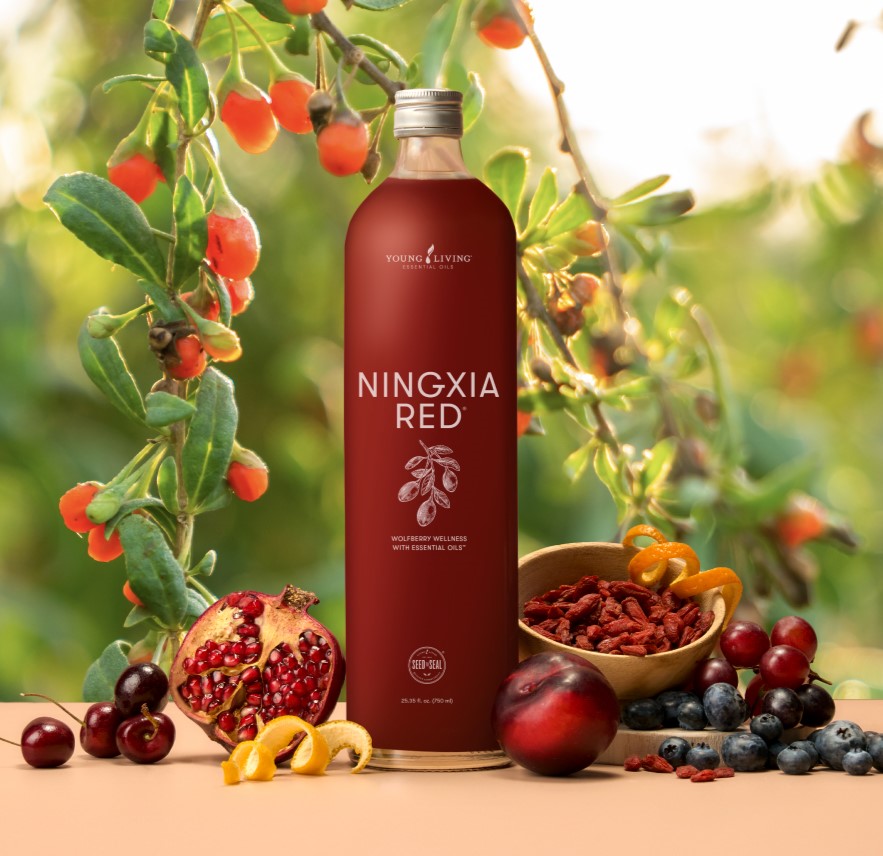 2025_NingXia Red-rebranded_launch kit_US