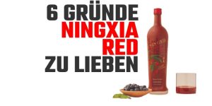 6 Gründe NingXia Red zu trinken